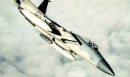 美空军F-15C首次使用IRST系统发射AIM-120D空空导弹击落QF-16靶机