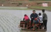 朝鲜遭受百年一遇特大干旱 中国大使驾驶插秧机支农