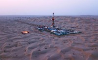 塔里木盆地获重大油气发现 石油储量逾2亿吨