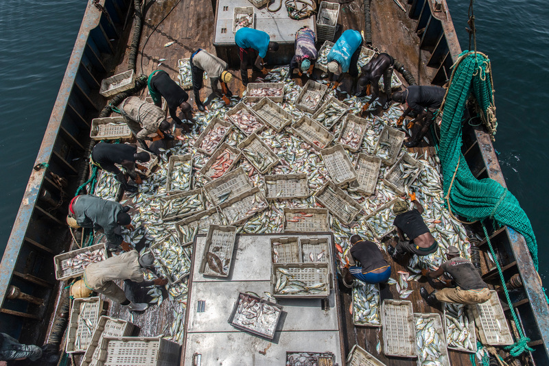 Fishing Operations on Chinese Fishing Vessel in Guinea