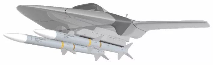 携带2枚AIM-120空空导弹的“飞行导弹挂架”无人机想象图